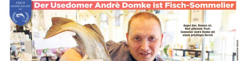 Domke in der Bild