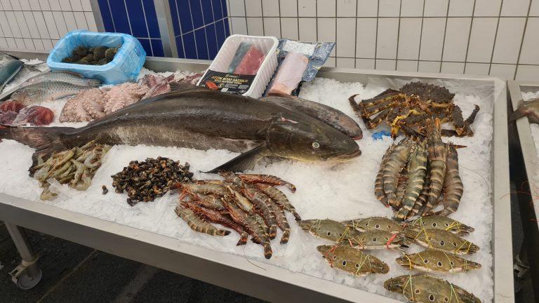 Fischmarkt Hamburg - Meine Perle
