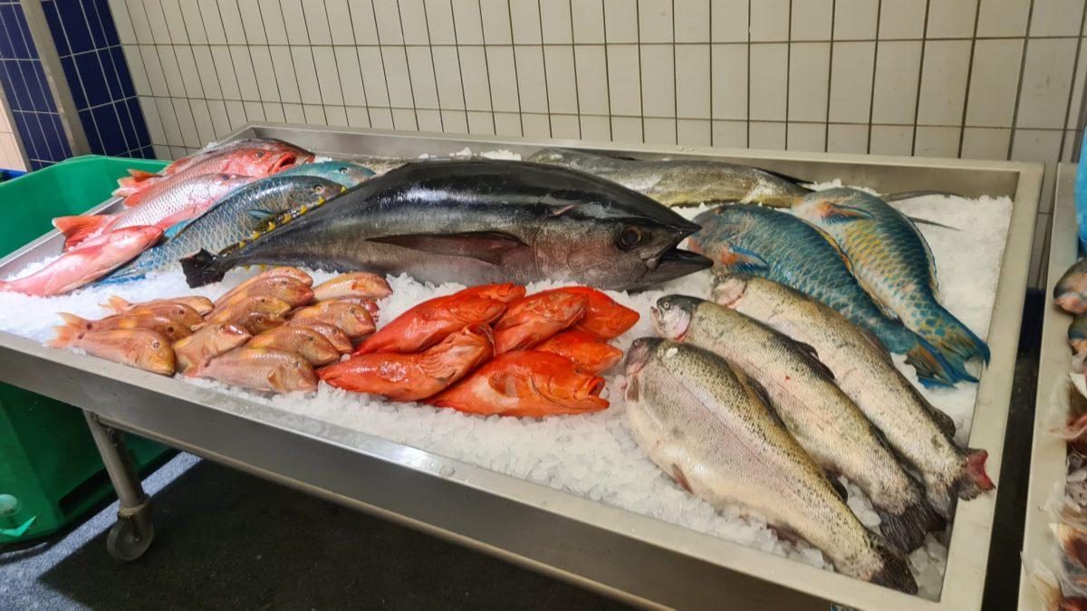 Fischmarkt Hamburg - Meine Perle