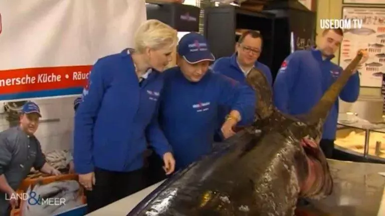 Größter Schwertfisch Deutschlands bei Fisch Domke