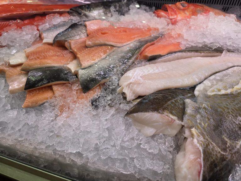 absolt frischer Fisch