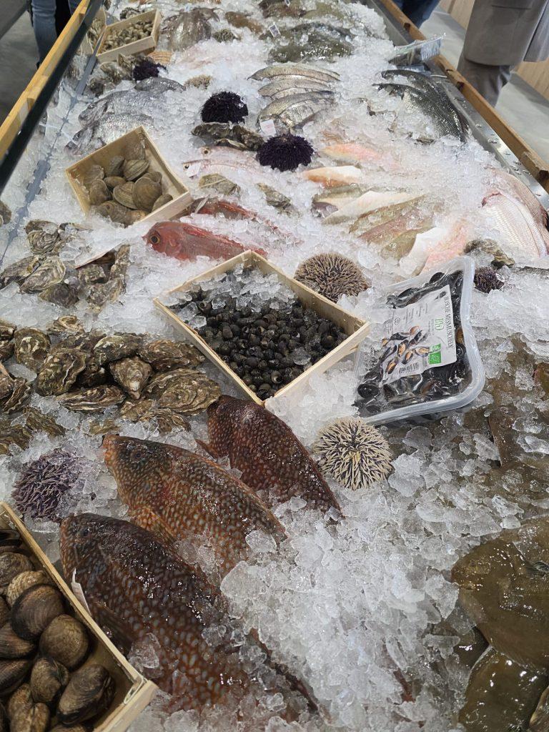 Frischer Fisch in Kühlung