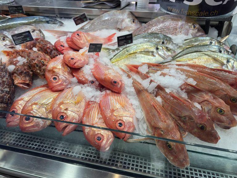 Frischer Fisch auf der Expo