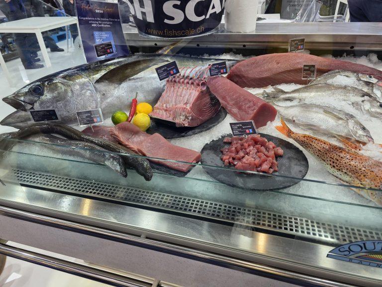 Frischer Fisch in der Auslage