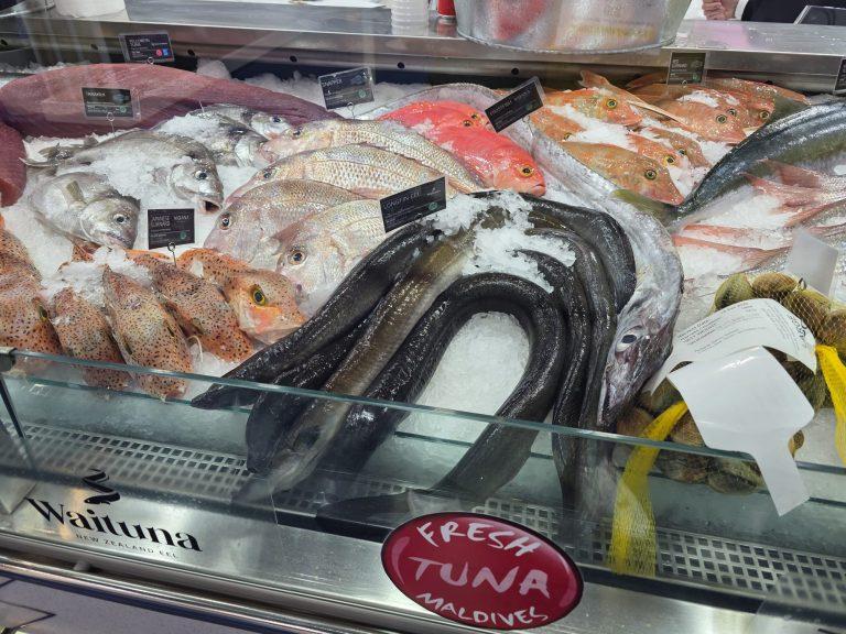 fangfrischer Fisch in der Kühlung