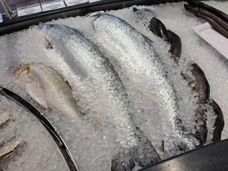 Fisch im Domkes Fischeck im Seebad Ahlbeck auf Usedom